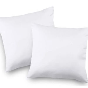 22 inch Throw Pillows